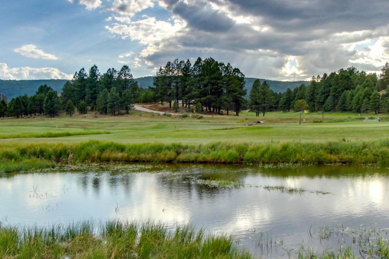 Gold Creek 208 Daire Angel Fire Dış mekan fotoğraf