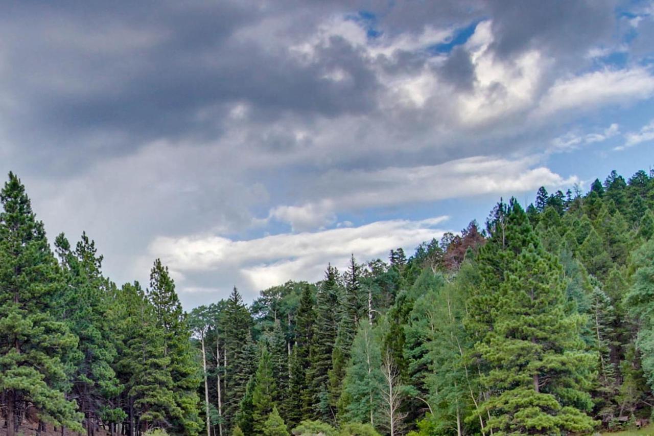 Gold Creek 208 Daire Angel Fire Dış mekan fotoğraf